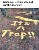 Deer Corn.jpg