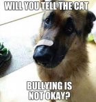 Dog - Bullying is not OK.jpg
