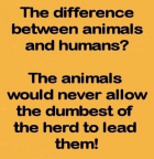 1676174154959.png