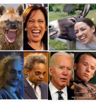 1676174232669.png