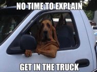 Dogs - Get in the truck.jpg