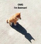Dogs - I'm Batman.jpeg