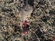 IMG_7210.jpeg
