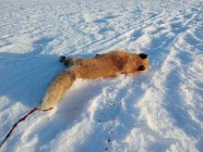 IMG_20230213_080025163.jpg