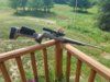 Resized_20160906_125208.jpeg