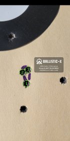 Ballistic-X-Export-2023-02-13 16_18_52.550798.jpg