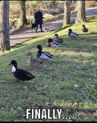 11CDA95B-F63E-402E-A27E-D85FC5457202.jpeg