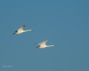 AW5_9392-Edit.JPG