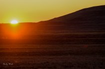 AW5_9270-Edit.JPG
