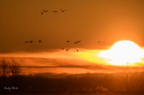 AW5_9315-Edit.JPG