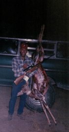 bigdoe.jpg