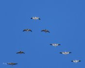 AW5_9065-Edit.JPG