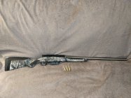 Savage Impulse 20-250 R.jpg