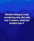1676596268351.png