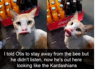 1676741149433.png