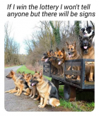 1676741450121.png