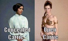 Concealed Carrie.jpeg
