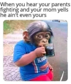 1676833228865.png
