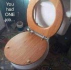 Crapper Disaster.jpeg