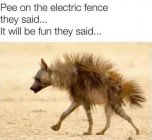 1677001956619.jpeg