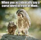 Curse mom.jpg