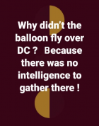 1677074527478.png