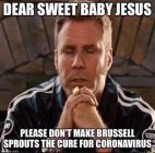 burssel sprouts.jpg