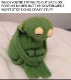 mems.jpg