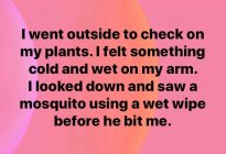 mesquito.jpg