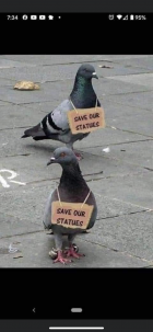 1677209901890.png
