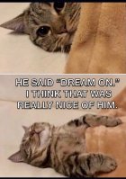 516C63E8-20B4-4324-BE6A-6F57AF6B0219.jpeg