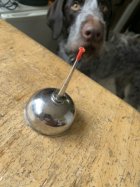IMG_7270.jpeg IMG_7270.jpeg