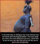 1677290059947.png