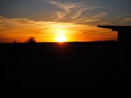 IMG_2842.jpg