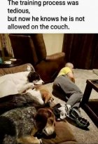 0E3B8A3F-5743-4072-B0AD-FA99A46BFCB0.jpeg