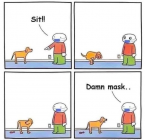 1677369671326.png