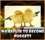 1677600809188.png