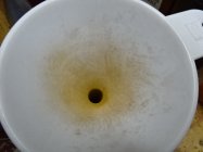 DSC07084.JPG