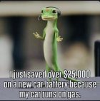 23F01D70-7838-48AB-AAD4-69867D4E688C.jpeg