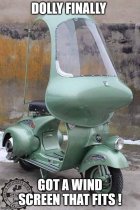 Dolly Parton Moped Wind Screen.jpg