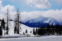Snow_6_sm.jpg