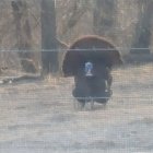 20230305_073243.jpg