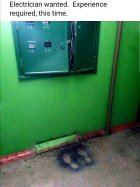 Electrician - Need a new one....jpg
