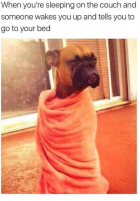 1678034707448.png