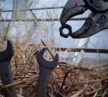 Feeding the baby tools.jpg