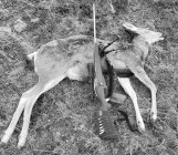 doe mosin vostok 20211026_165850.jpg