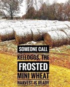 Frosted Mini Wheats.jpg