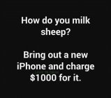 How do you milk a sheep.jpg