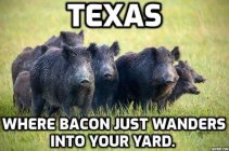 268B01ED-1DF5-40B1-B946-4275B995BF99.jpeg