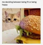 494C345C-A601-48DF-B212-469B65ED5AC7.jpeg